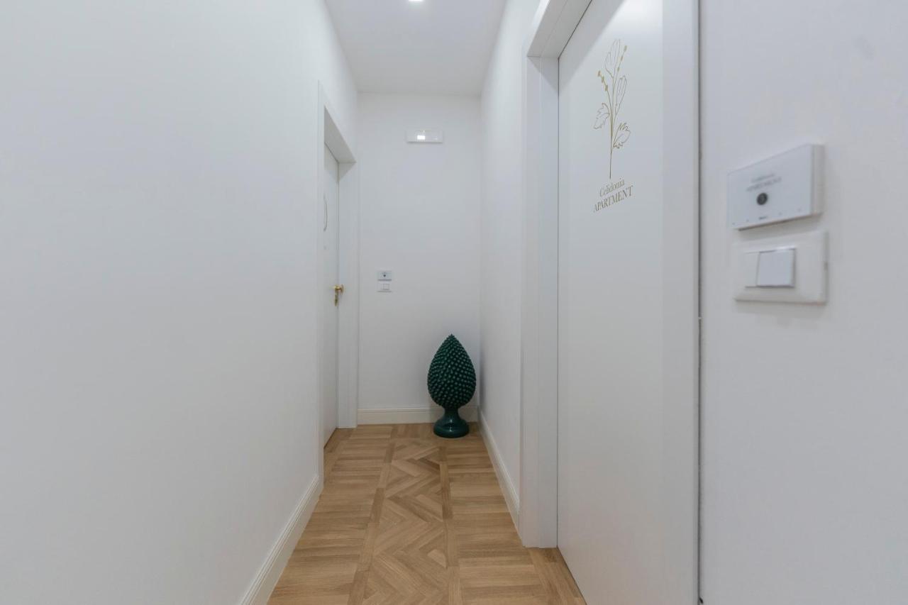 Aldrovandi Luxury Suites And Apartment ボローニャ エクステリア 写真